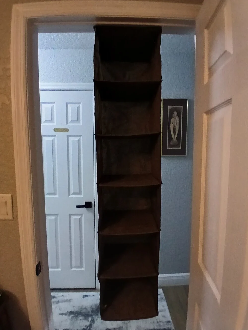6 Shelf Hanging Organizer Closet Hanging Storage